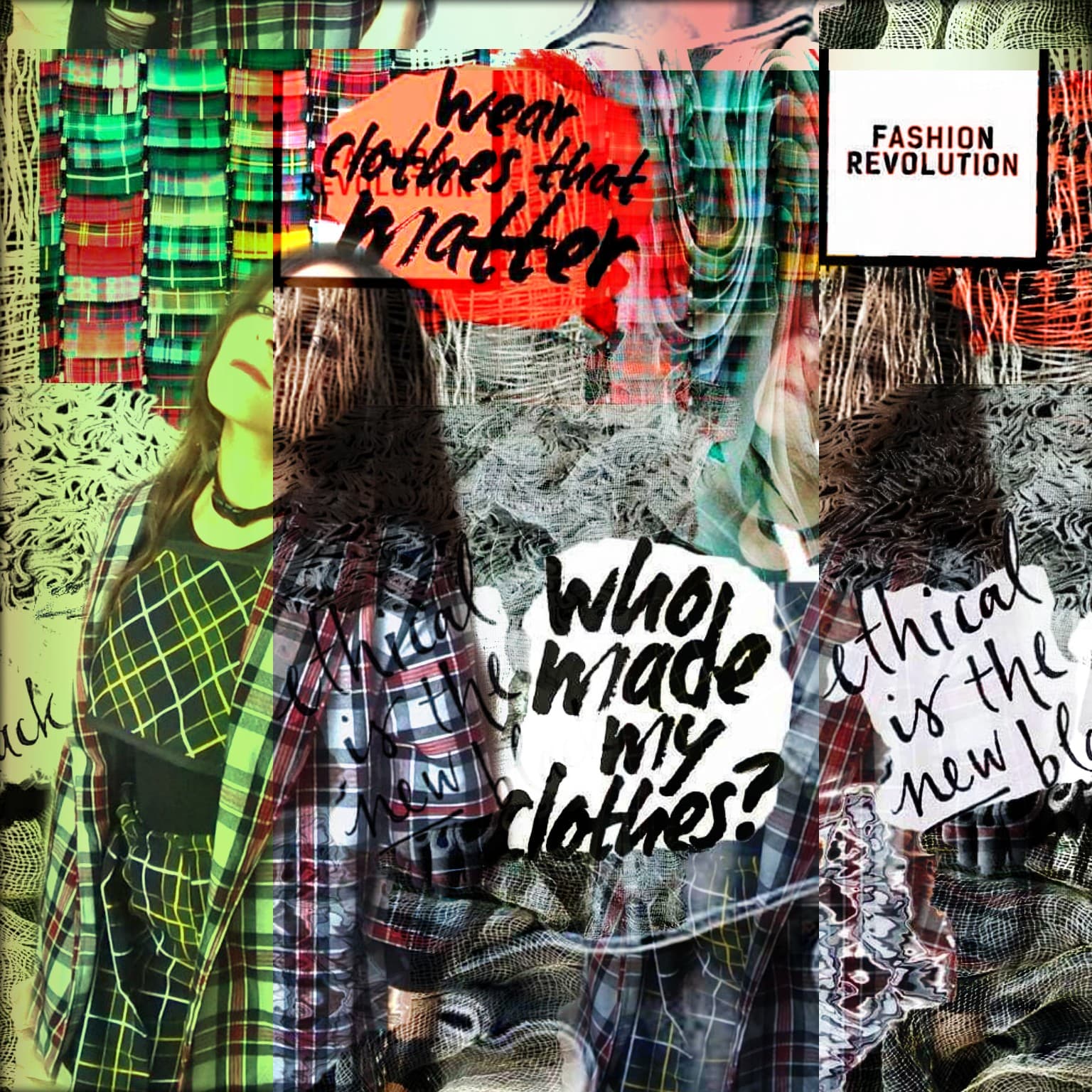 -G & Moda Sustentable-